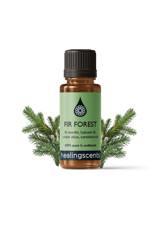 Fir Forest Holiday Blend Diffuser Blends Healingscents