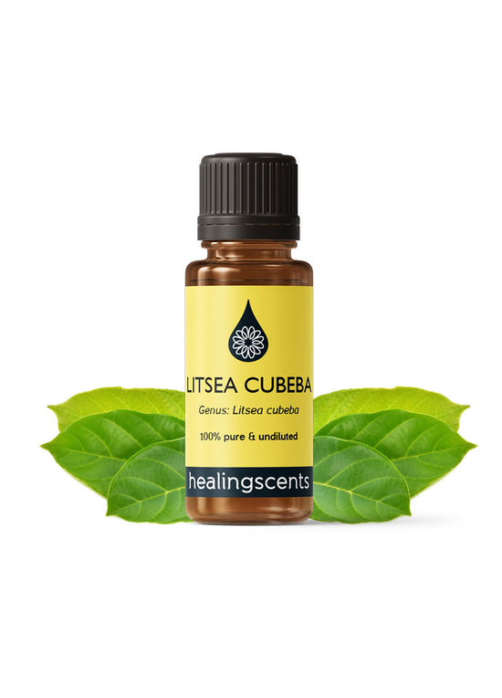 Litsea Cubeba Organic Essential Oil Essential Oils Morgans Apothecary