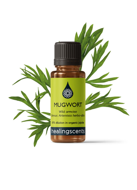 Mugwort (Armoise) Wild Harvest Essential Oil Essential Oils Morgans Apothecary