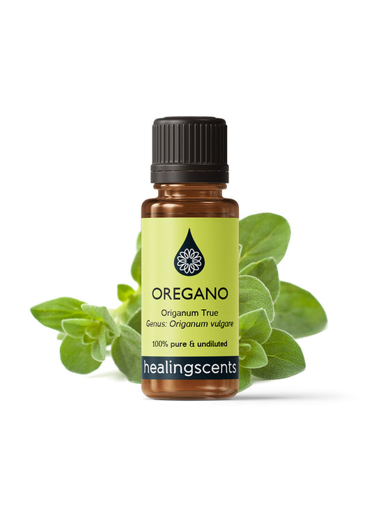 Oregano Essential Oil Essential Oils Healingscents   