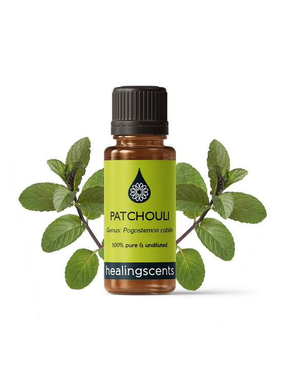Patchouli Organic Essential Oil Essential Oils Healingscents
