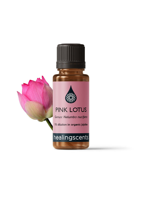 Lotus Pink Absolute Absolutes Healingscents   