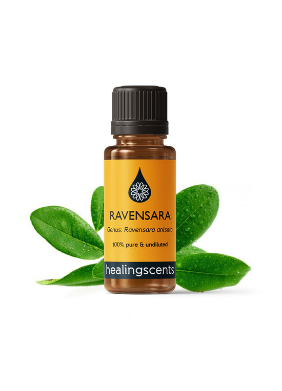 Ravensara Bark Wild Harvested Essential Oil Essential Oils Morgans Apothecary