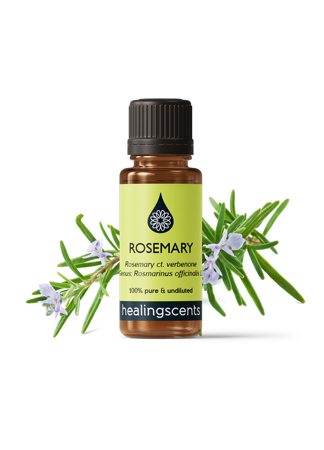 Rosemary ct Verbenone Certified Organic Essential Oil Essential Oils Healingscents   