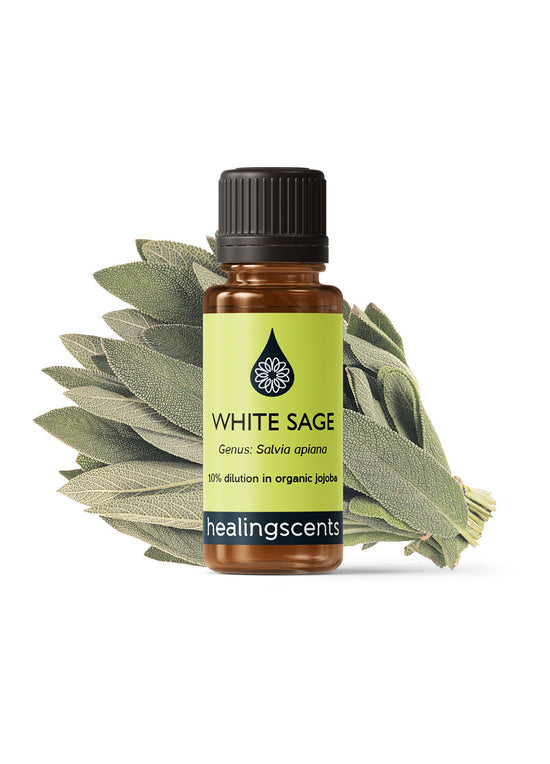 White Sage Ethically Farmed Organic Essential Oil Essential Oils Morgans Apothecary