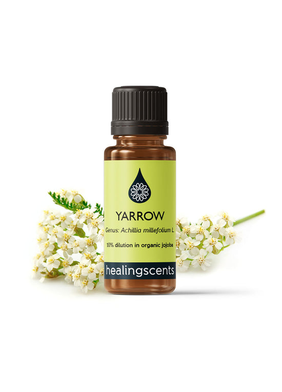 Yarrow Certified Organic Essential Oil Essential Oils Healingscents